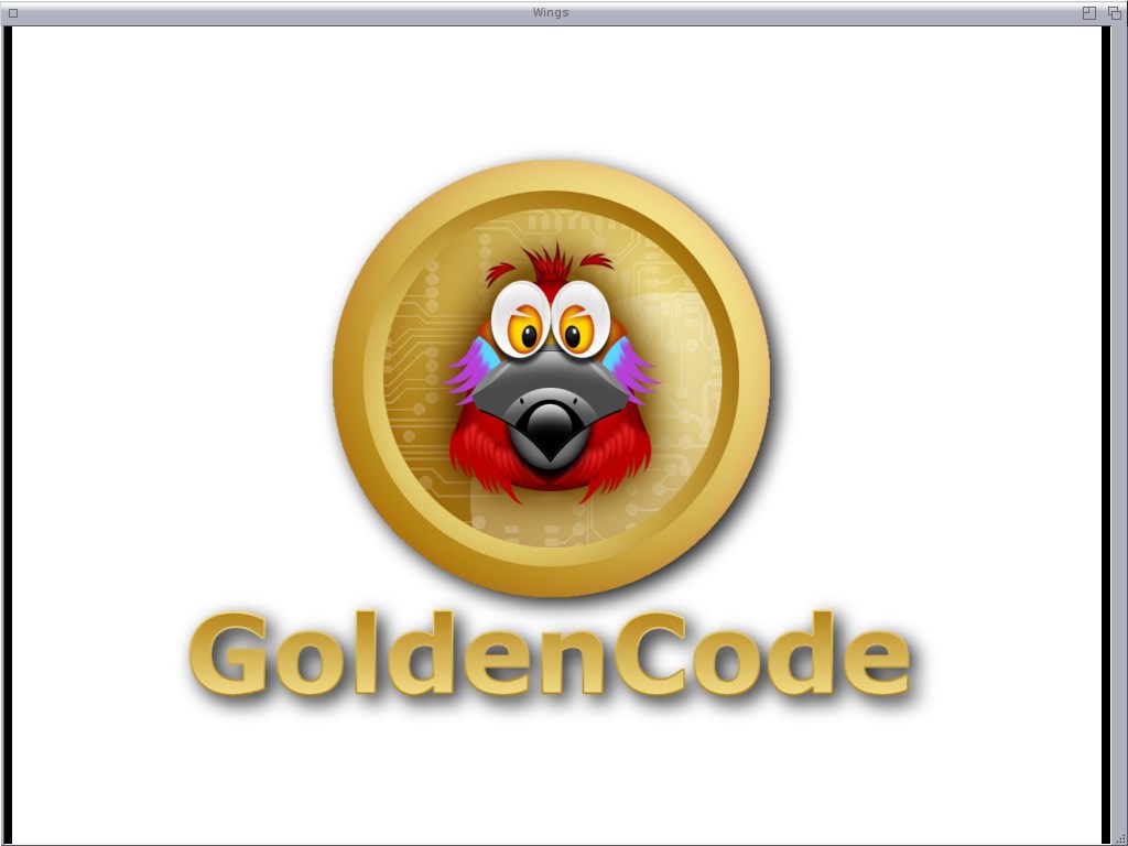 151106_0011-golden_code