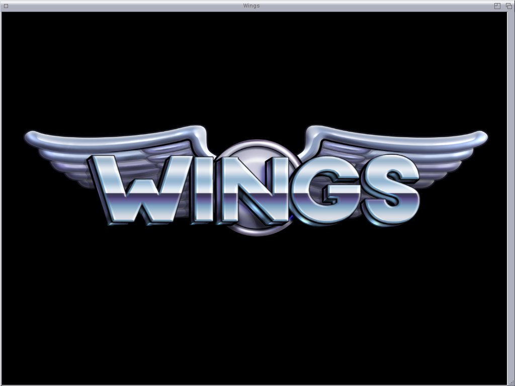 151106_008-wings_logo